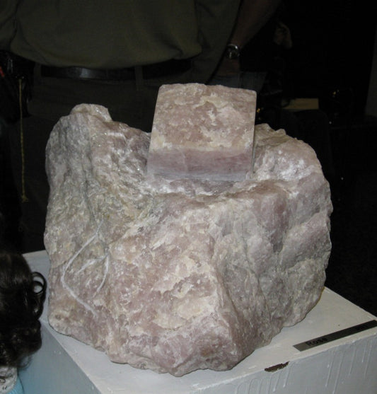 רוזה בריבוע