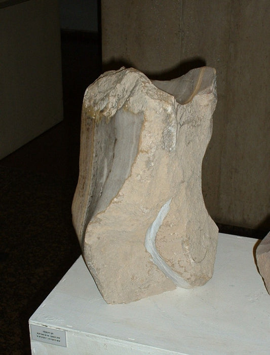 רקדנית אוניקס