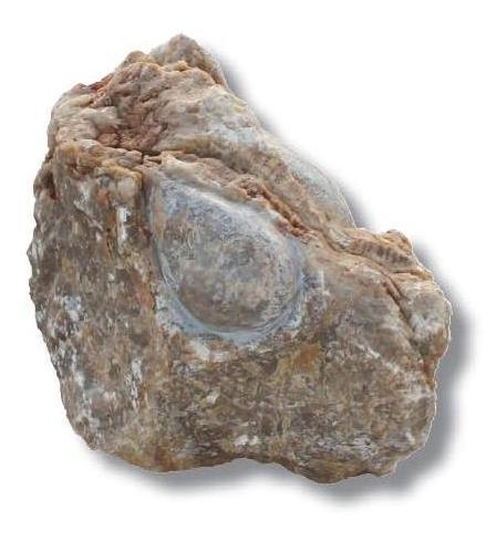 טיפות קוורץ