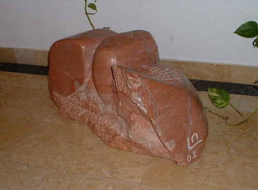 ציפור ממריאה