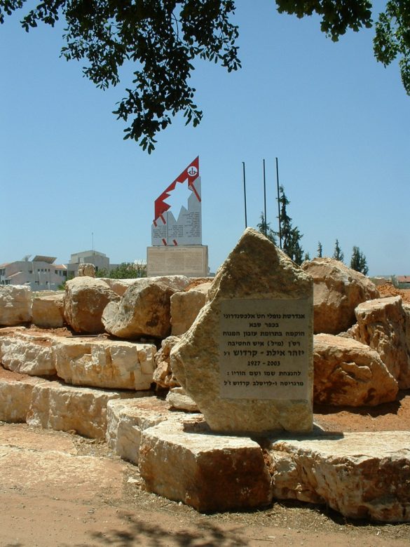 אנדטרת אלכסנדרוני כפר סבא