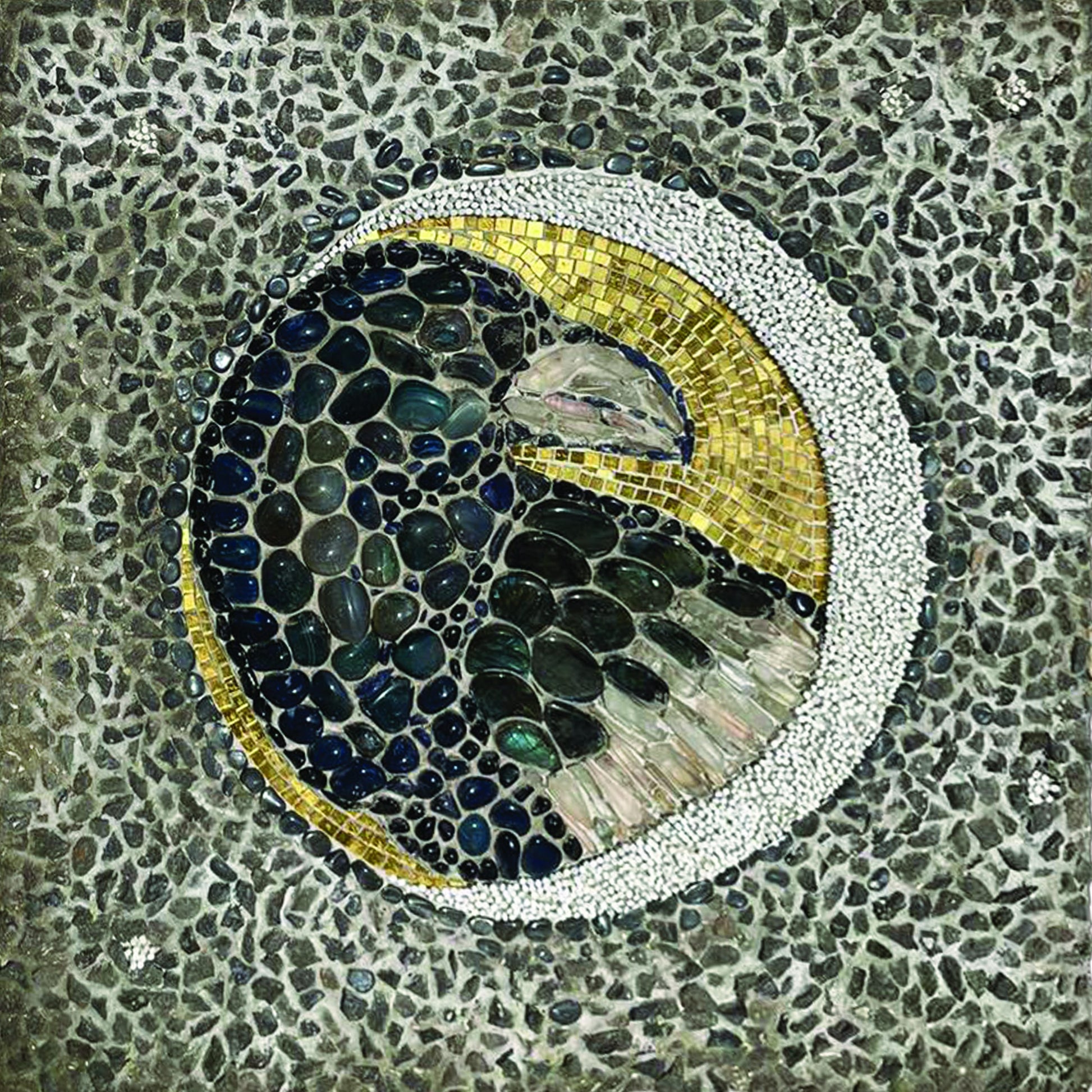נשר  eagle