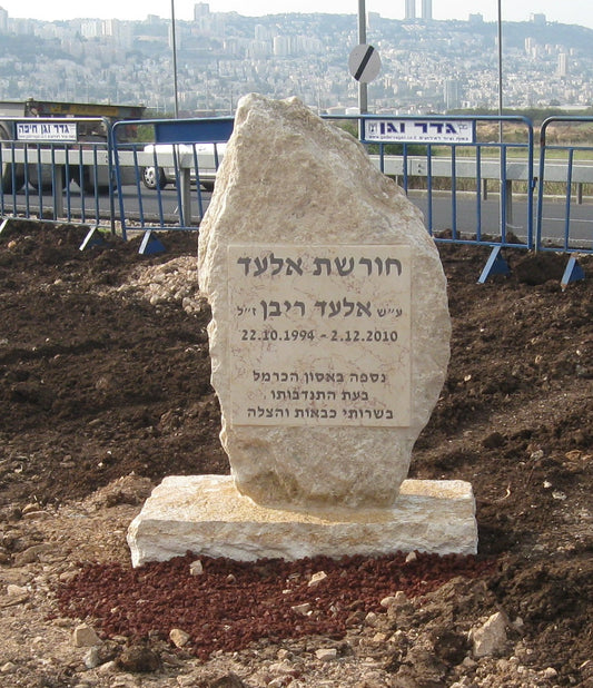 חורשת אלעד