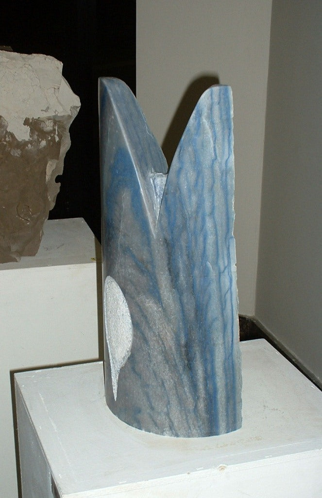 blue bird