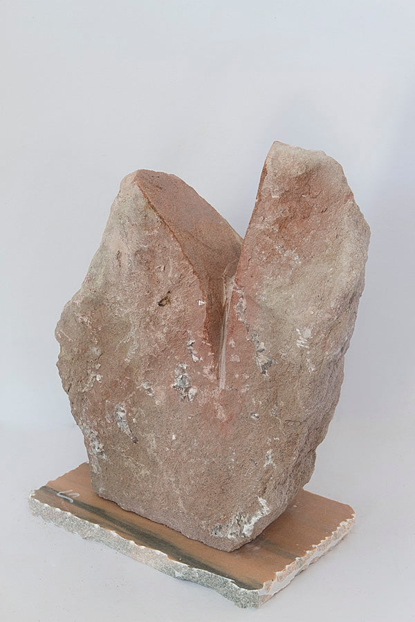 bird 11