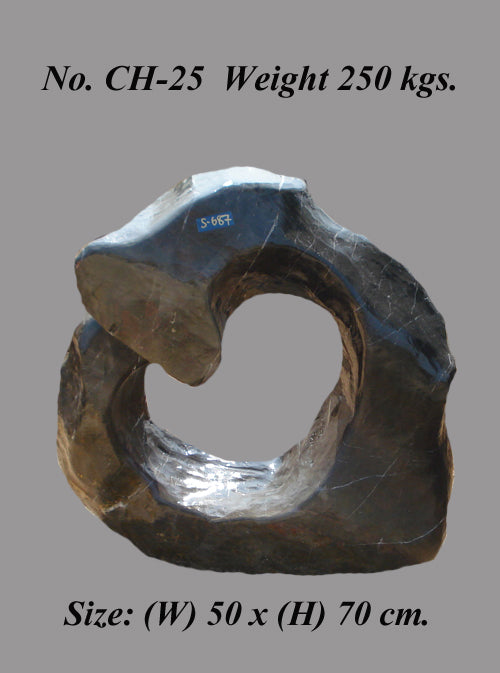 אבן מיוחדת 31