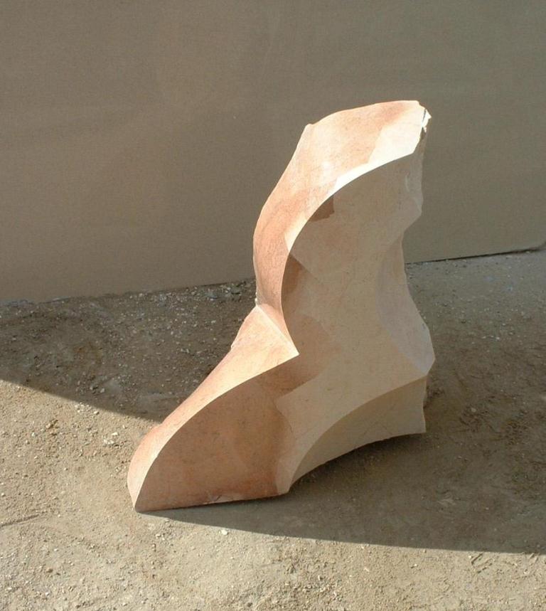 bird 1